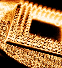 Home Page Image